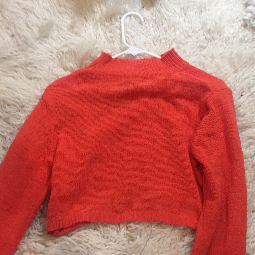 Long sleeve cropped turtleneck